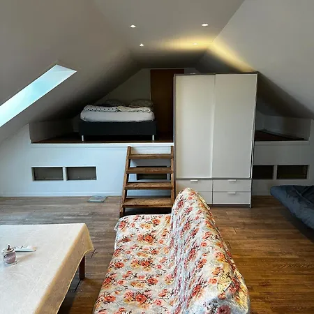 Mini Med Kokken Og Adgang Til Badevaerelse Apartman *