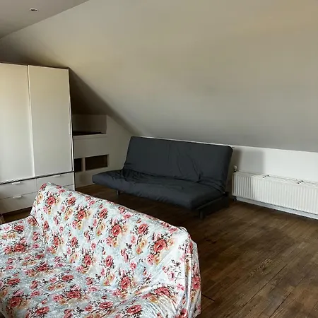 Mini Med Kokken Og Adgang Til Badevaerelse Apartment Helsinge